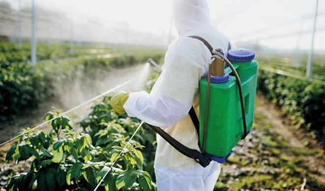 Pestisitlerde kalıntı limiti belirlendi Pestisitlerde kalıntı limiti belirlendi