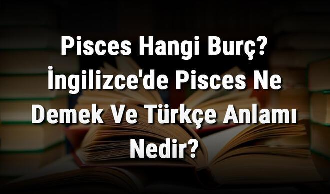 Pisces Hangi Burç? İngilizce'de Pisces Ne Demek Ve Türkçe Anlamı Nedir?