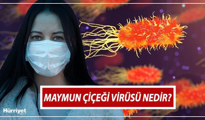 MAYMUN ÇİÇEĞİ VİRÜSÜ belirtileri nelerdir, nedir? Maymun çiçeği(Monkeypox) bulaşıcı mı? İşte tedavi hakkında bilgiler MAYMUN ÇİÇEĞİ VİRÜSÜ belirtileri nelerdir, nedir? Maymun çiçeği(Monkeypox) bulaşıcı mı? İşte tedavi hakkında bilgiler