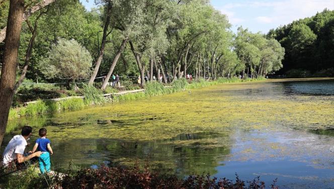 Bayram tatilinin alternatif rotaları Bayram tatilinin alternatif rotaları