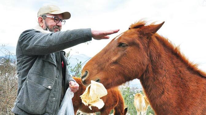 Yılkıları elleriyle besledi