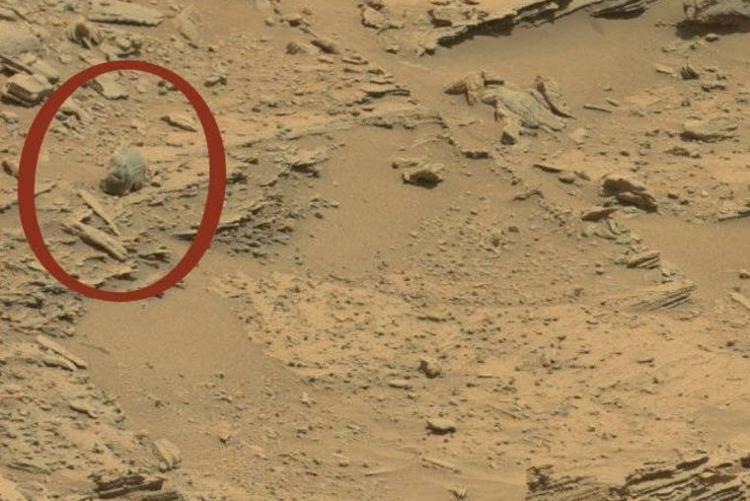 5774d113c03c0e4d88ac687a