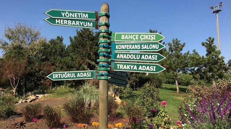 Istanbul Adasi Nezahat Gokyigit Botanik Bahcesi