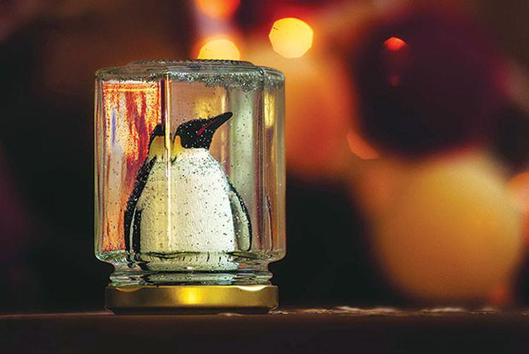 Kar Kuresi Beyza Alkoc Kisa Yazi Kompozisyon Ve Odev Sitesi