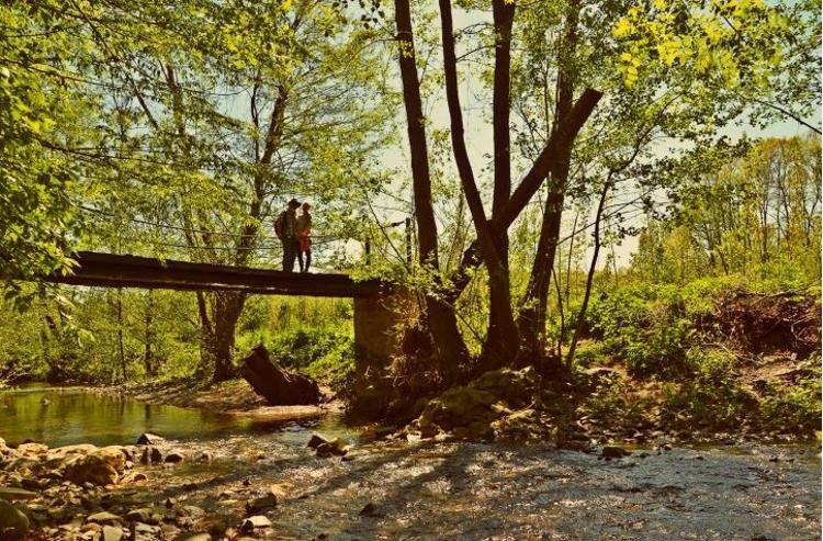 Baharda Kuslar Gibi Seyahat Haberleri