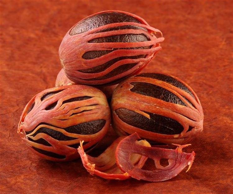 BEYİN GÜCÜNÜ ARTIRIYOR