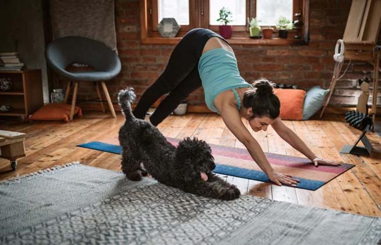 Yoga Multipl sklerozlu hastalığına iyi gelir