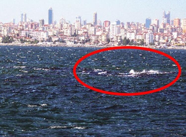 istanbul da denizin altindaki gizem bircok kisi varligindan bile haberdar degil seyahat haberleri