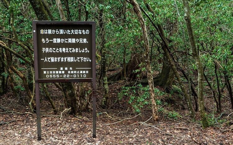 Aokigahara Ormanı / Japonya
