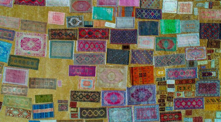 antalya nin rengarenk hali tarlalari seyahat haberleri