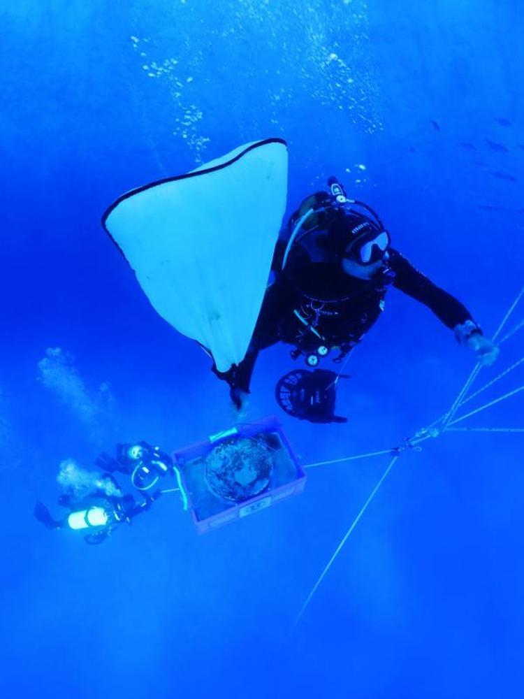 DEVAM EDECEK DİĞER ÇALIŞMALAR