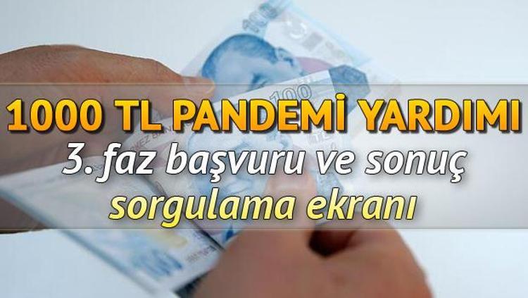 pandemi yardimi on basvuru sayfasi 1000 tl sosyal yardim e devlet sonuc sorgulama ekrani son dakika haberler