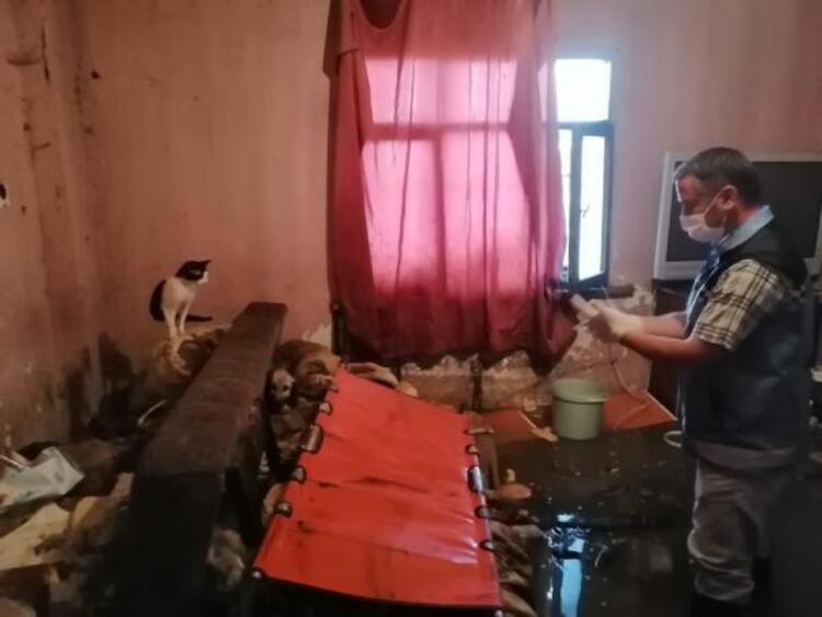 Evini su basan yaşlı kadın kedi ve köpekleri için ağladı Son Dakika Haber