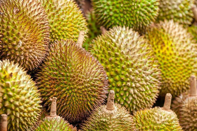 Durian