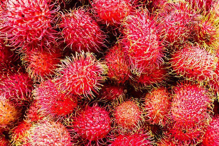 Rambutan