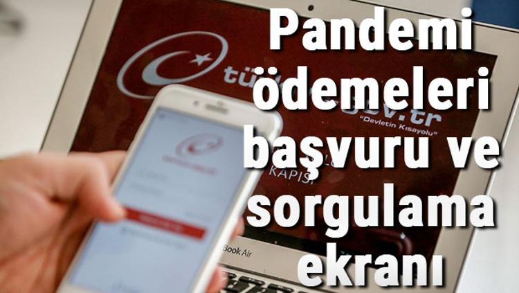 3 Faz Pandemi Odemelerinde Son Durum Nedir 1000 Tl Sosyal Yardim Odemeleri Basvuru Ve Sorgulama Ekrani Hurriyet Ekonomi