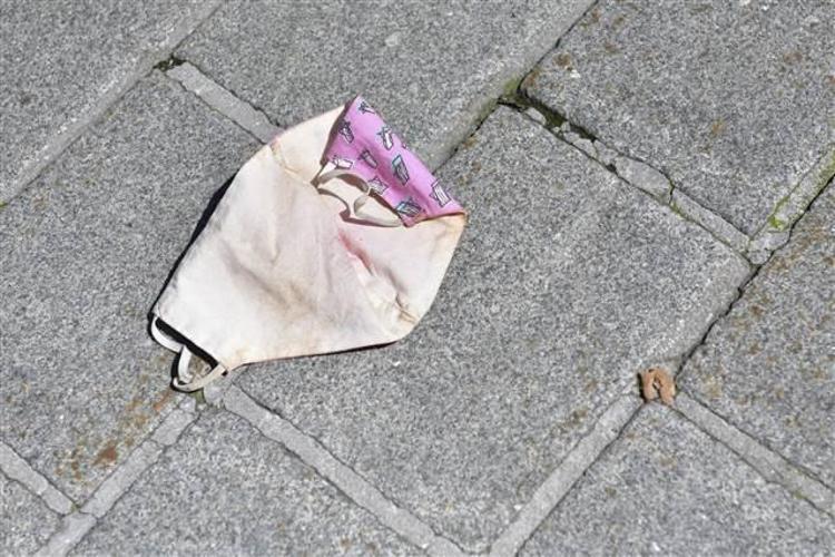 İngilterede ilk defa evcil hayvanda Kovid-19 tespit edildi