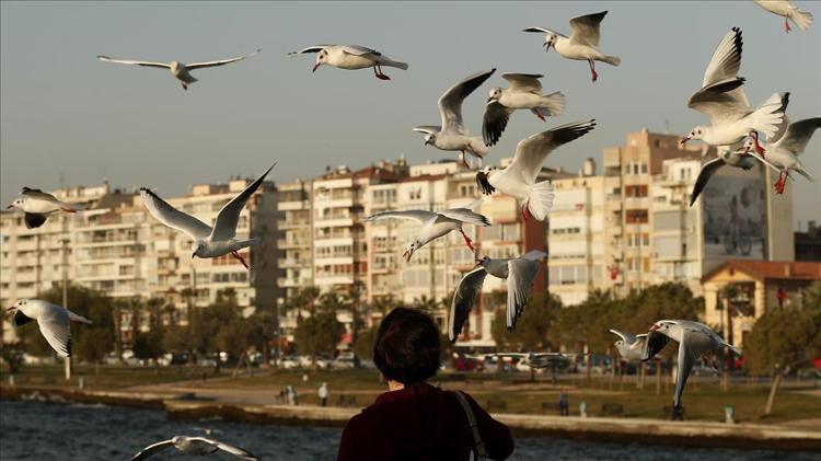 Izmir in the eighth ranked province