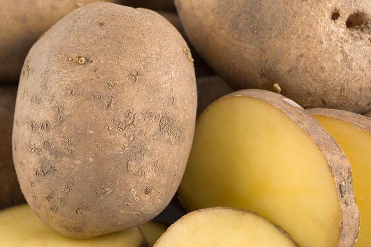 PATATES