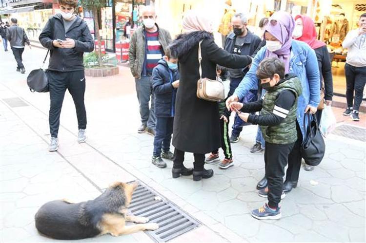 KÖPEĞİN ADI MAZGAL OLARAK KALDI