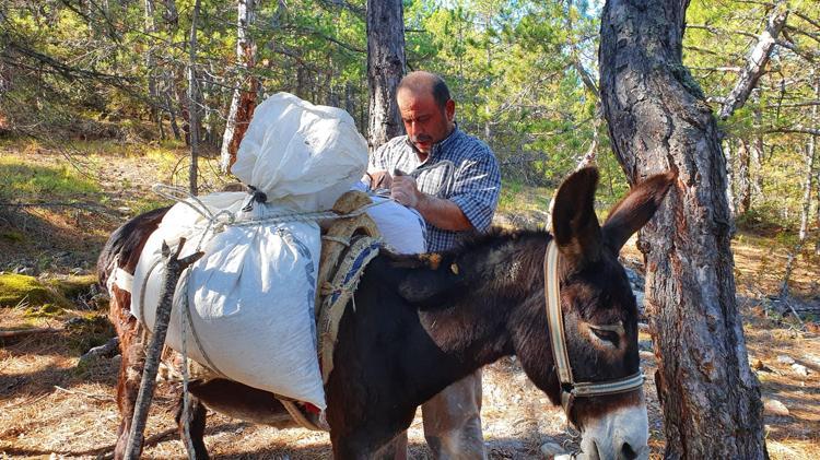 Pekmezin lezzeti bu topraktan geliyor