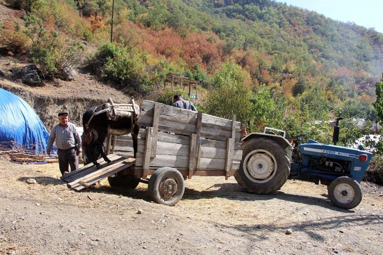 İnternetten alınan siparişleri kargo ile diğer illere gönderiyorlar