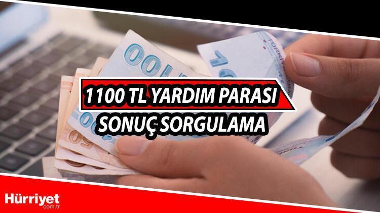 1100 tl pandemi yardim basvuru ve sonuc sorgulama ekrani e devlet sosyal yardim odemelerinde son durum son dakika ekonomi haberleri