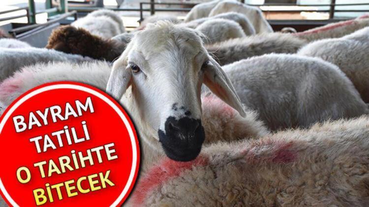 Kurban Bayrami Tatili Ne Zaman Bitiyor Iste 2021 Kurban Bayrami Bitis Tarihi Son Dakika Haber