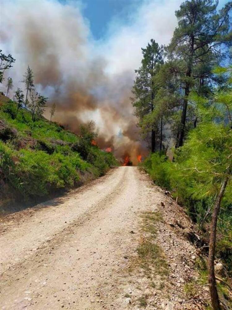 Burdur Un Bucak Antalya Nin Manavgat Ve Kas Adana Nin Kozan Ve Usak In Ulubey Ilcesinde Yangin Son Dakika Haber