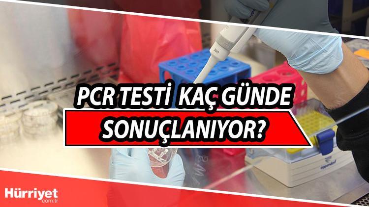 pcr test sonucu ne zaman kac gunde cikar e nabiz girisi ile pcr test sonucu sorgulama ekrani son dakika flas haberler