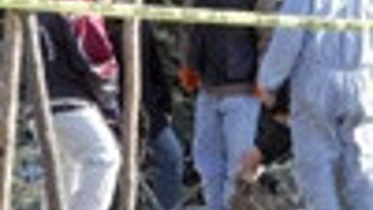 Turkish police discover bombs and guns in simultaneous searches
