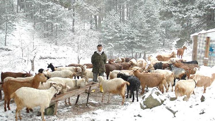 Çobanları Kazdağları'ndan kar da indiremiyor