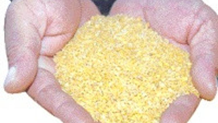 Buğdayda ’sarı pas’ı susturan ’gen’i tanımladılar Son Dakika Ekonomi