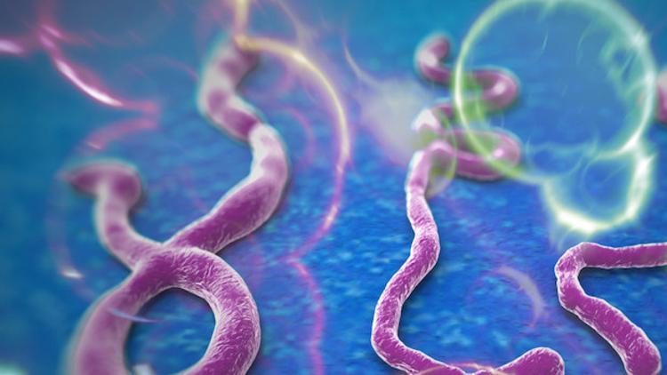 Ebola kontrolden çıktı: 728 ölü