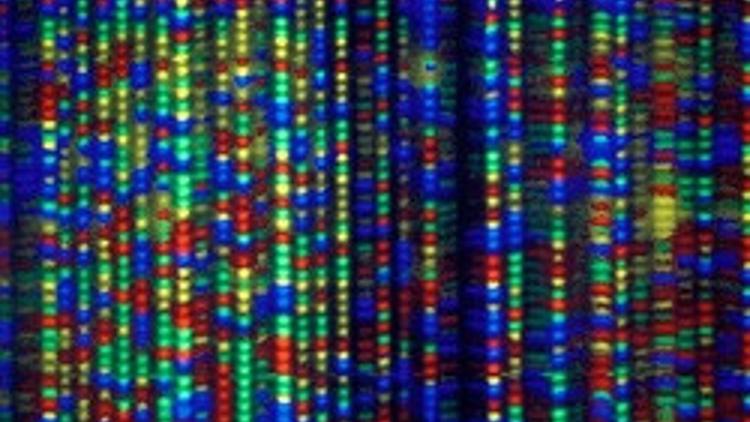DNA'nın yapamadığını XNA yapacak