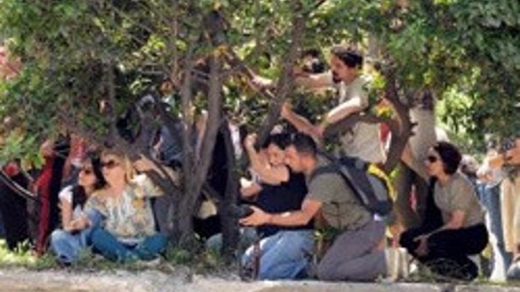 İBB: "Gezi Parkı'nda ağaç kesilmiyor"
