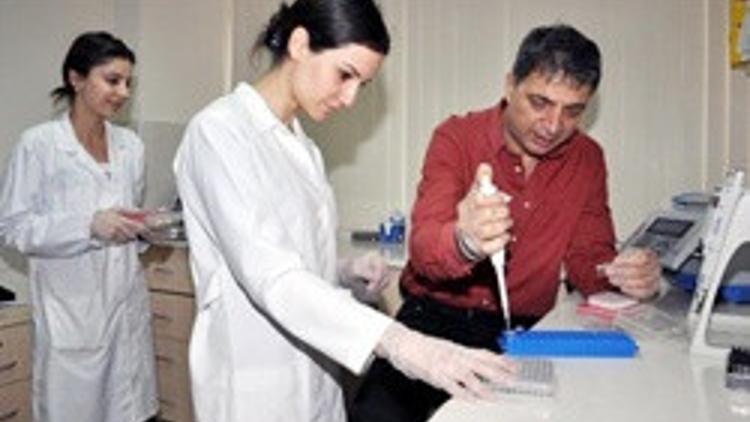 Türk bilim adamlarının başarısı