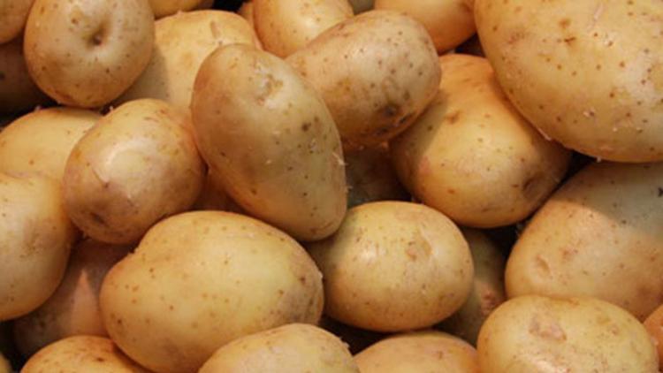 Patates 2.5 TL’nin altına inmezse ithalat başlıyor