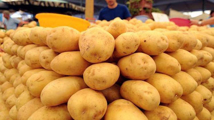 Patates fiyatları güldürdü, rekolte üzdü