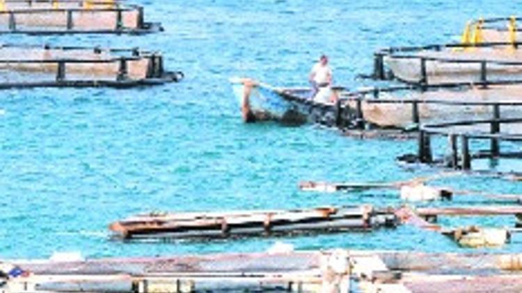 Didim’de çiftlik isyanı