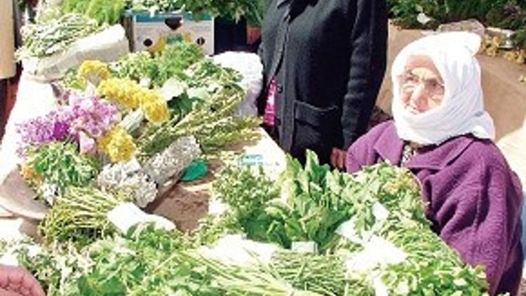 Önce dağlar sonra tabaklar yeşerdi