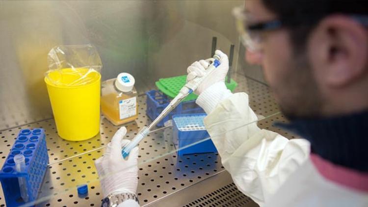 Almanya'da yine Ebola korkusu