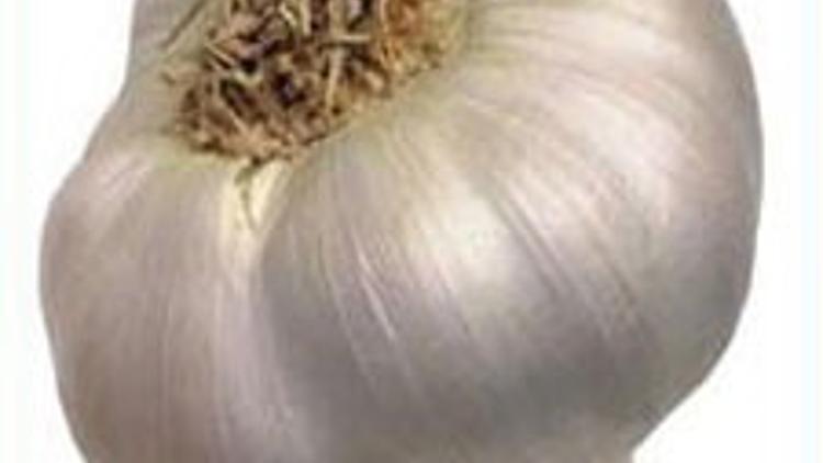 İşte domuz gribinden koruyan besinler
