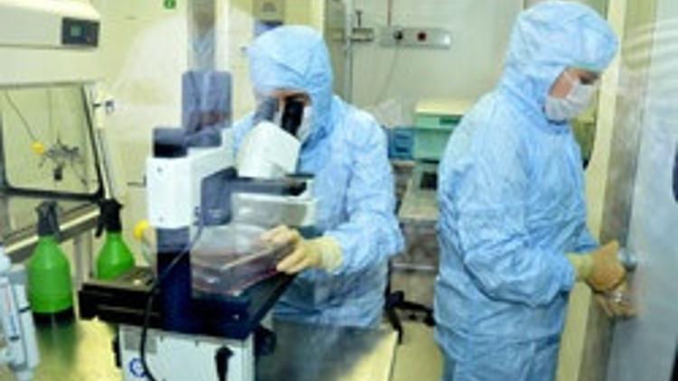 Kök hücre üretiminin maliyeti 8 milyon lira