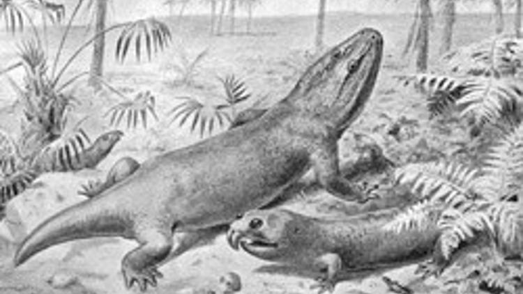 Dinozor çağını başlatan dev patlamanın sırrı çözüldü