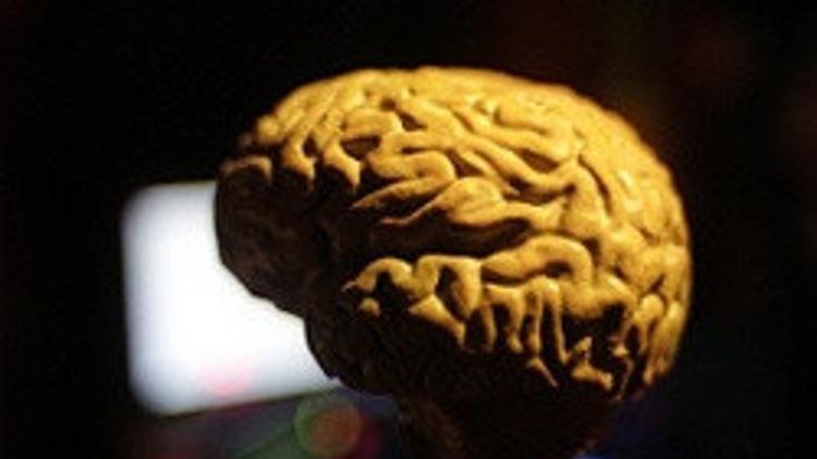 İnsan beyni 45'inde 'çöküş dönemine giriyor'
