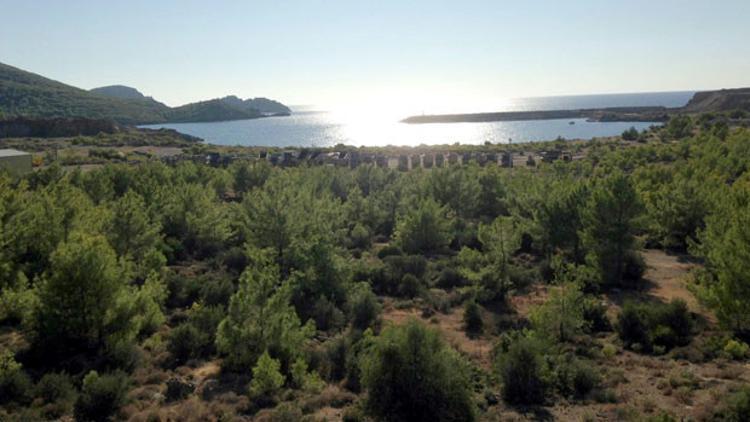 Türkiye’nin nükleer enerji karnesi dökülüyor