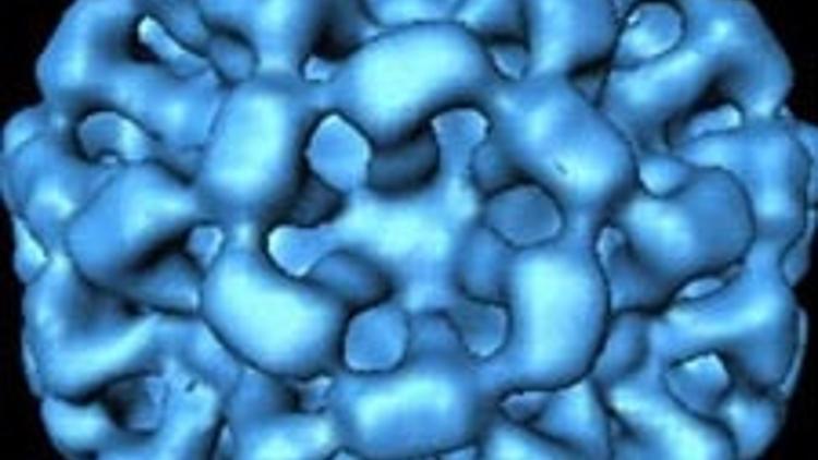 kanser enfeksiyon iliskisi magazin haberleri