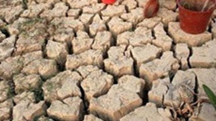 Bir dilim ekmek lütfen