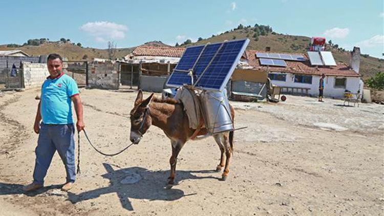 Eşek sırtında güneş enerjisi